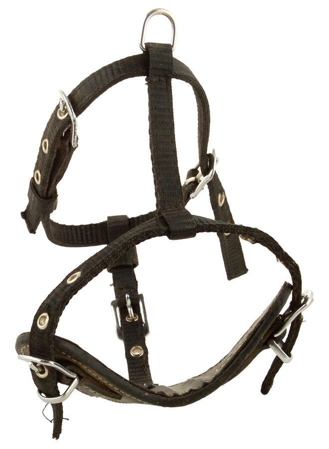 Skora Dog Puppy Harness, 32 x 19 inch - Image 5